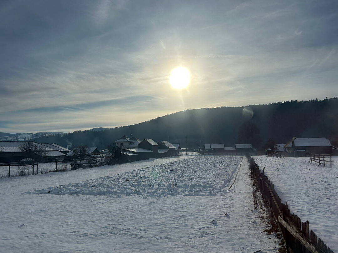 Mocănița Huțulca (Moldovița)景点图片