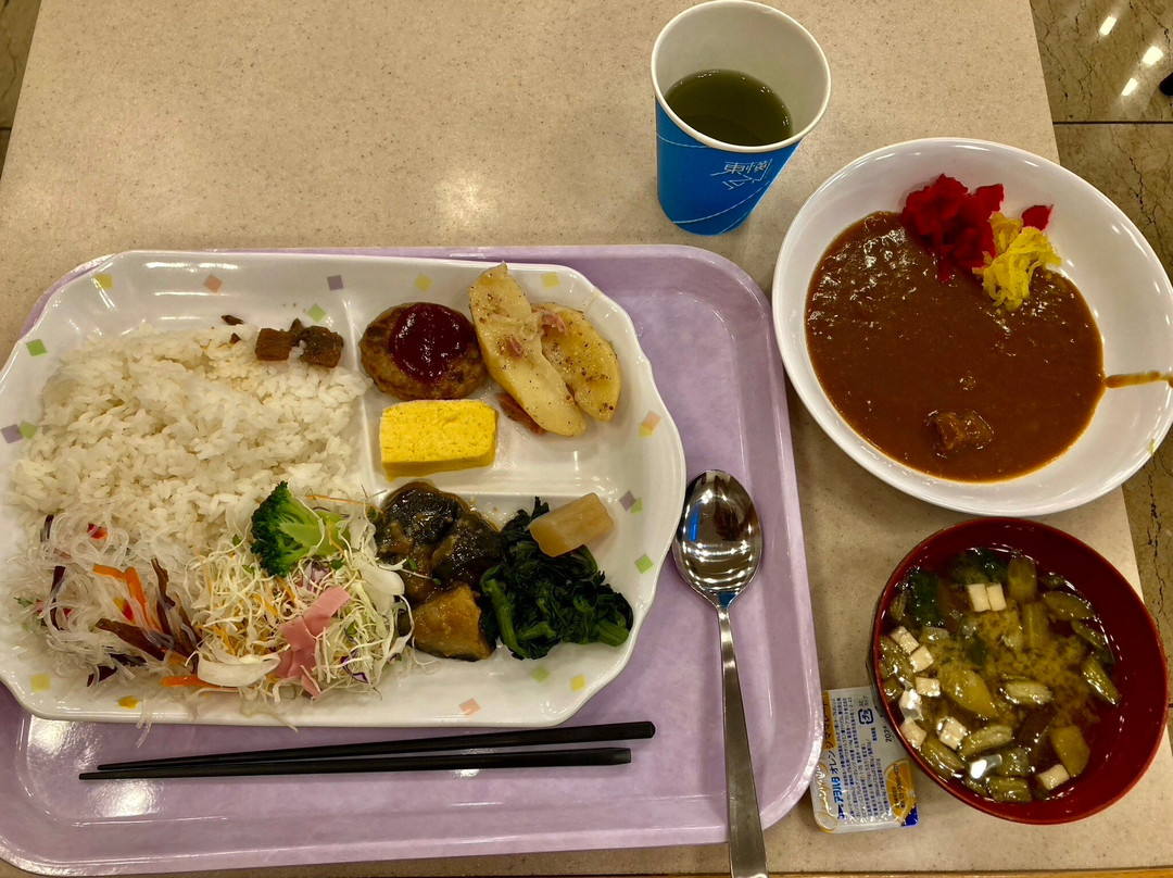 Toyoko Inn Utsunomiya Ekimae 1主图
