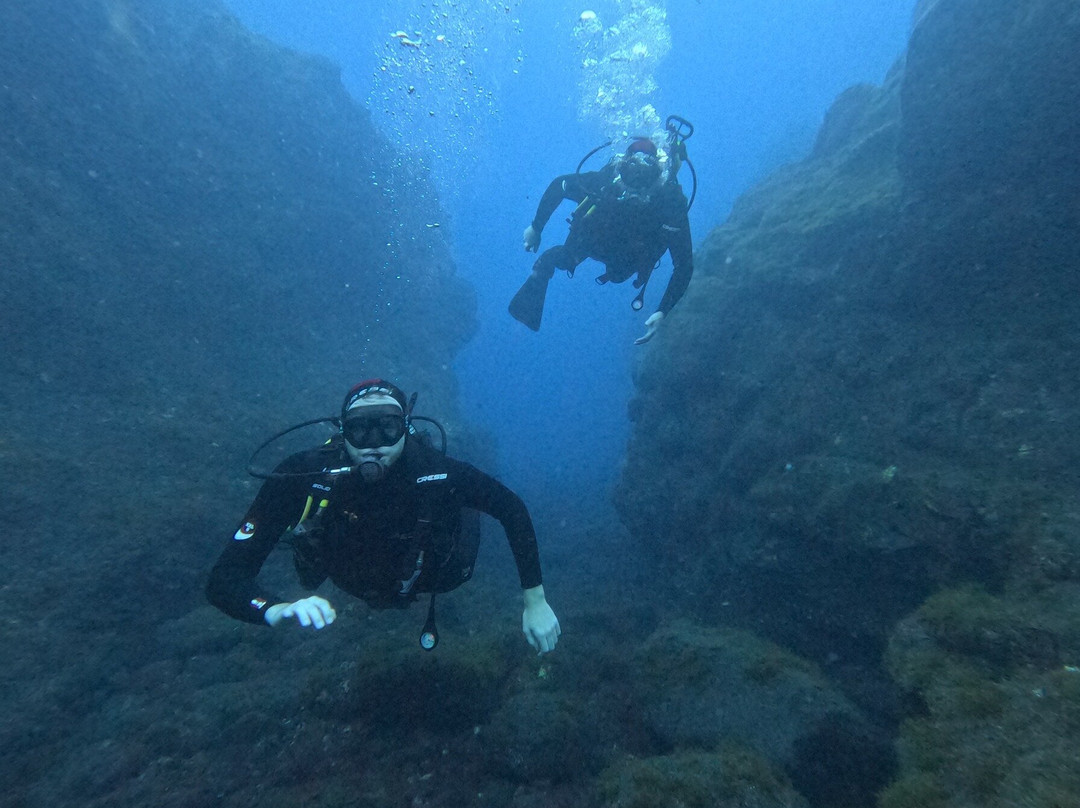 Buceo Isla Bonita景点图片