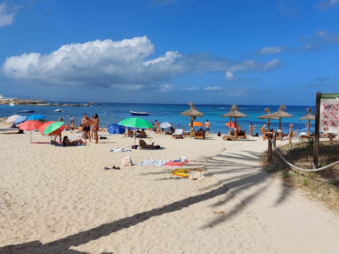 Platja Des Pujols景点图片