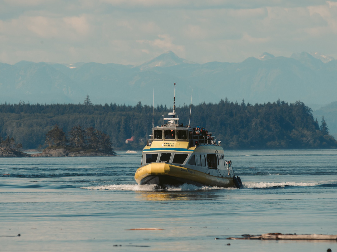 Prince Of Whales Whale Watching-Telegraph Cove必去景点