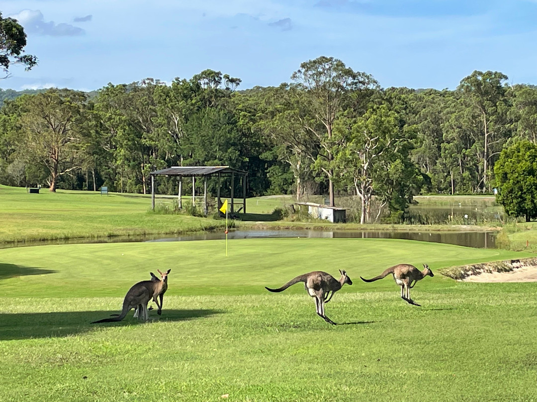 Bulahdelah Golf Course景点图片