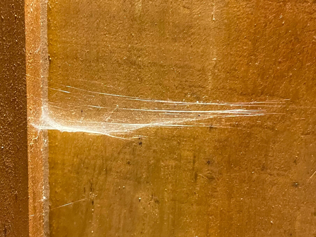 Hotel de Montaña Suria主图