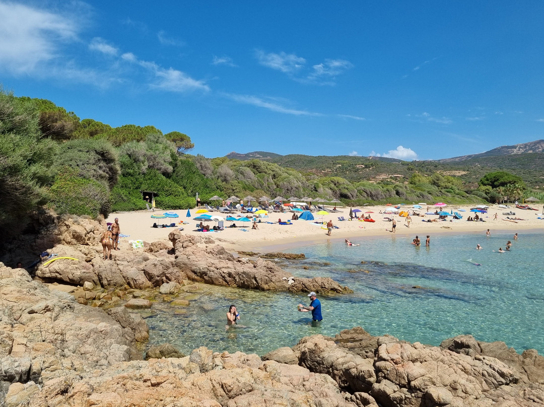 Plage d'Arone景点图片