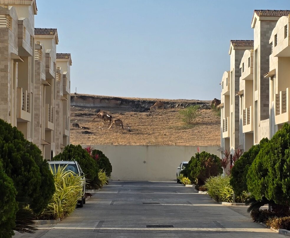 Belad Bont Resort主图