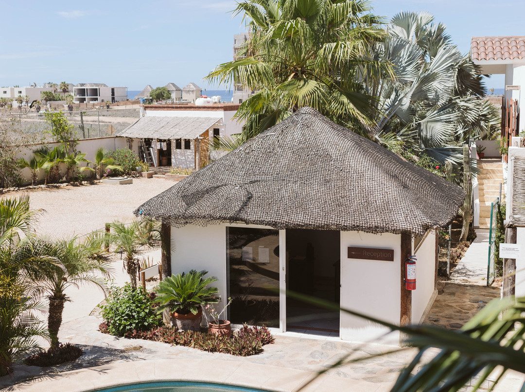 Olas De Cerritos主图