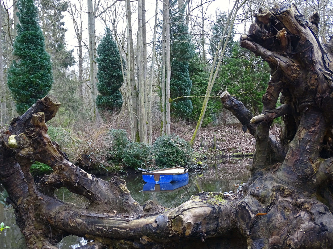 Elsham Hall Gardens and Country Park景点图片