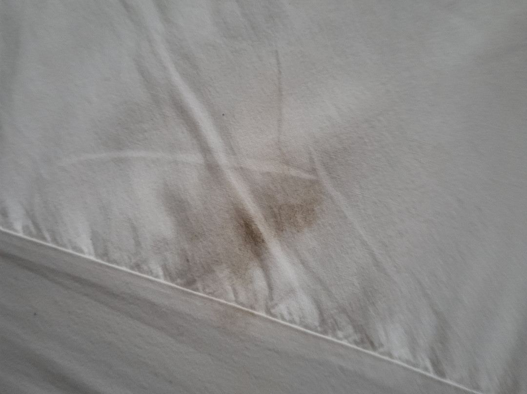 Lincoln Inn Fredericton主图