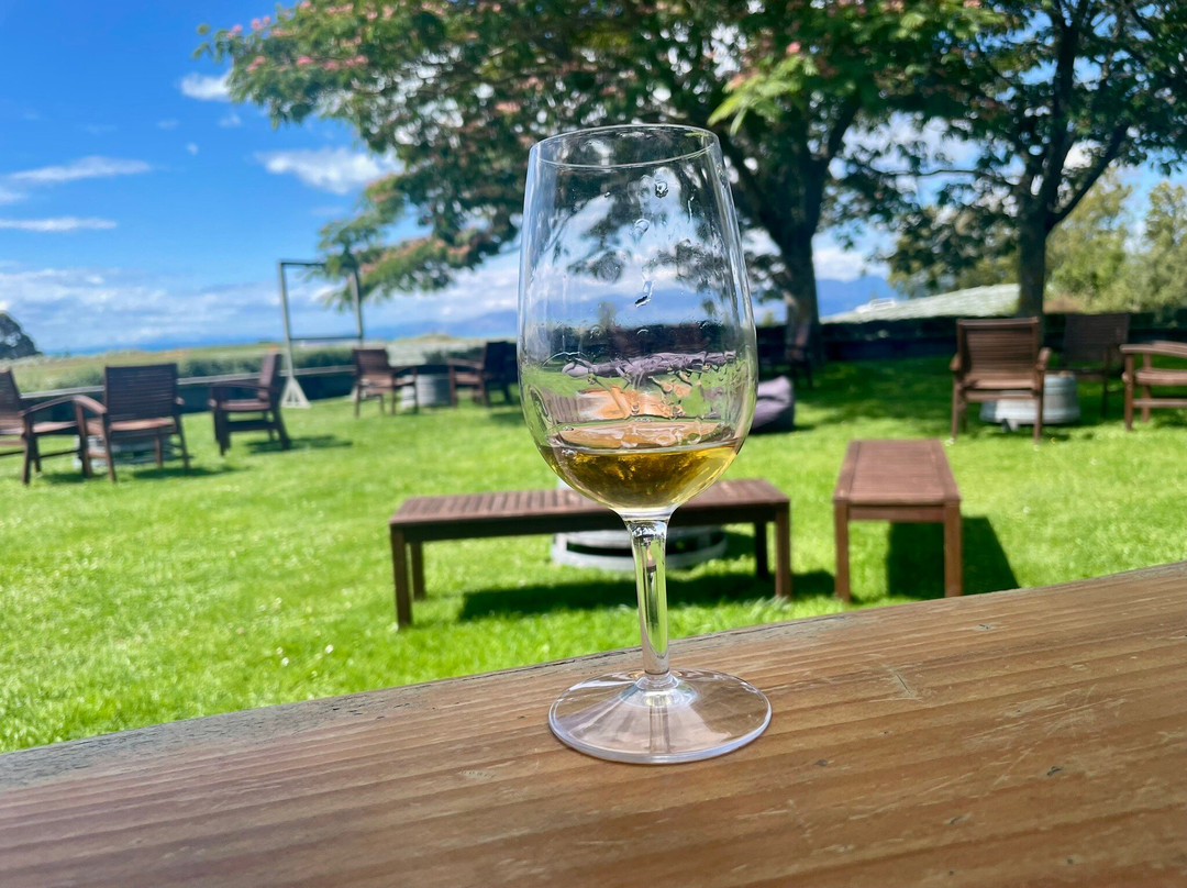 Nelson Tours & Travel - Wine Tours-尼尔森必去景点