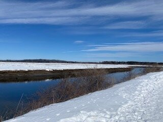 Scarboro Marshes-斯卡伯勒必去景点
