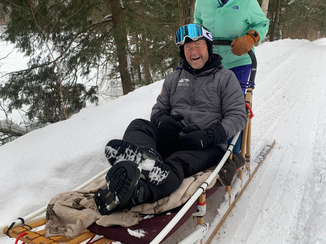 Winterdance Dogsled Tours景点图片