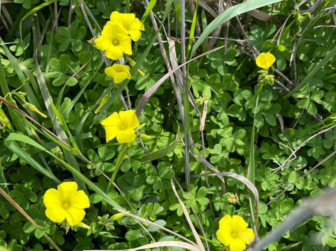 Martinez Regional Shoreline-Martinez必去景点