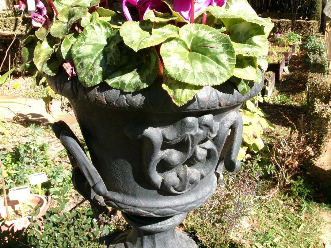 Jardin Botanico de la Universidad de Granada-格拉纳达必去景点