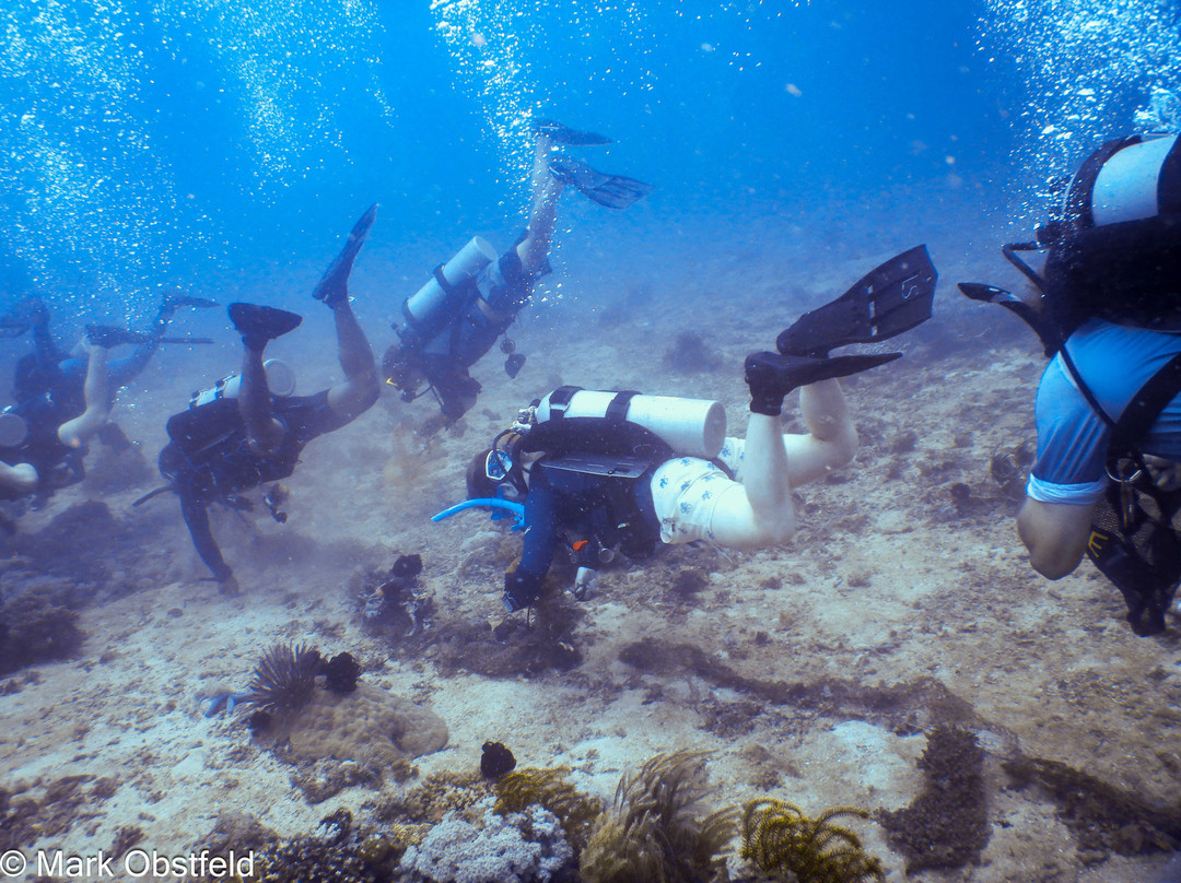 Marine Conservation Philippines-桑博安吉塔必去景点