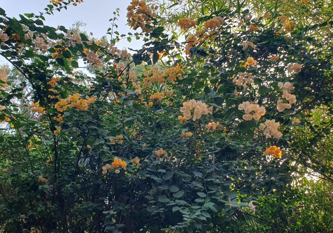 Meya Beach Walk Hotel主图