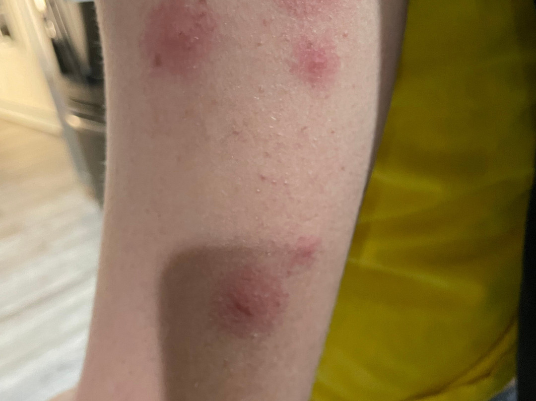 Clarion Pointe主图