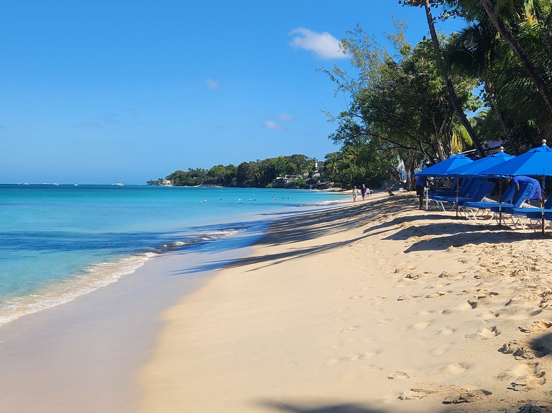 Alleynes Bay-Mount Standfast必去景点