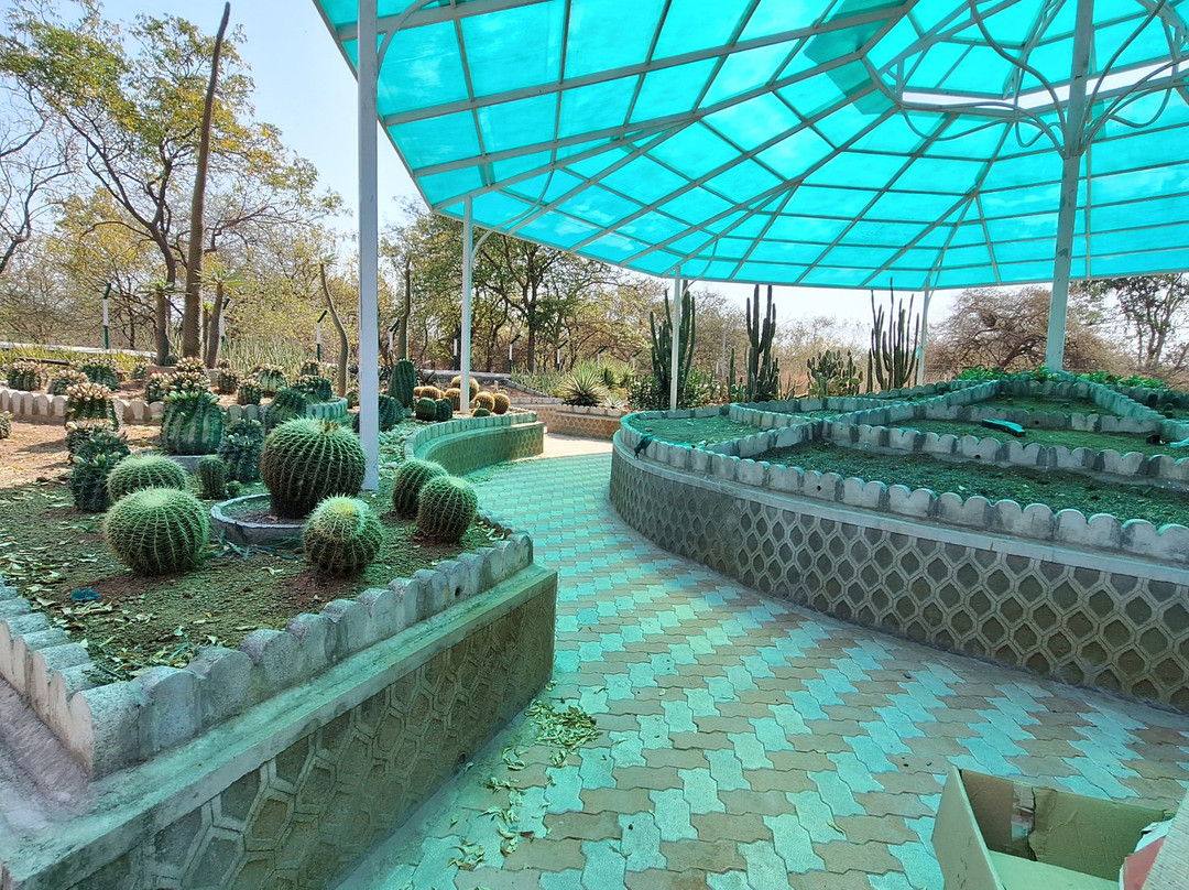 Hingolgadh Nature Education Sanctuary景点图片