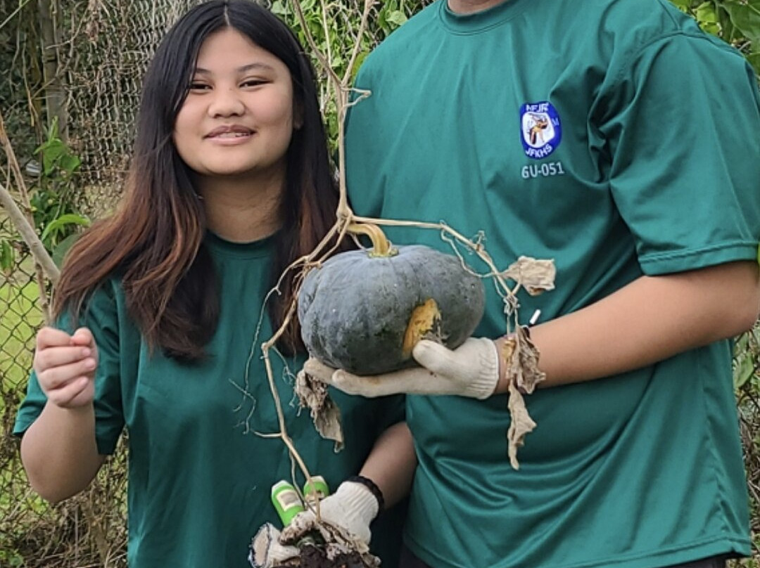 Horses of Sleepy Meadows Ranch Yigo-Yigo必去景点