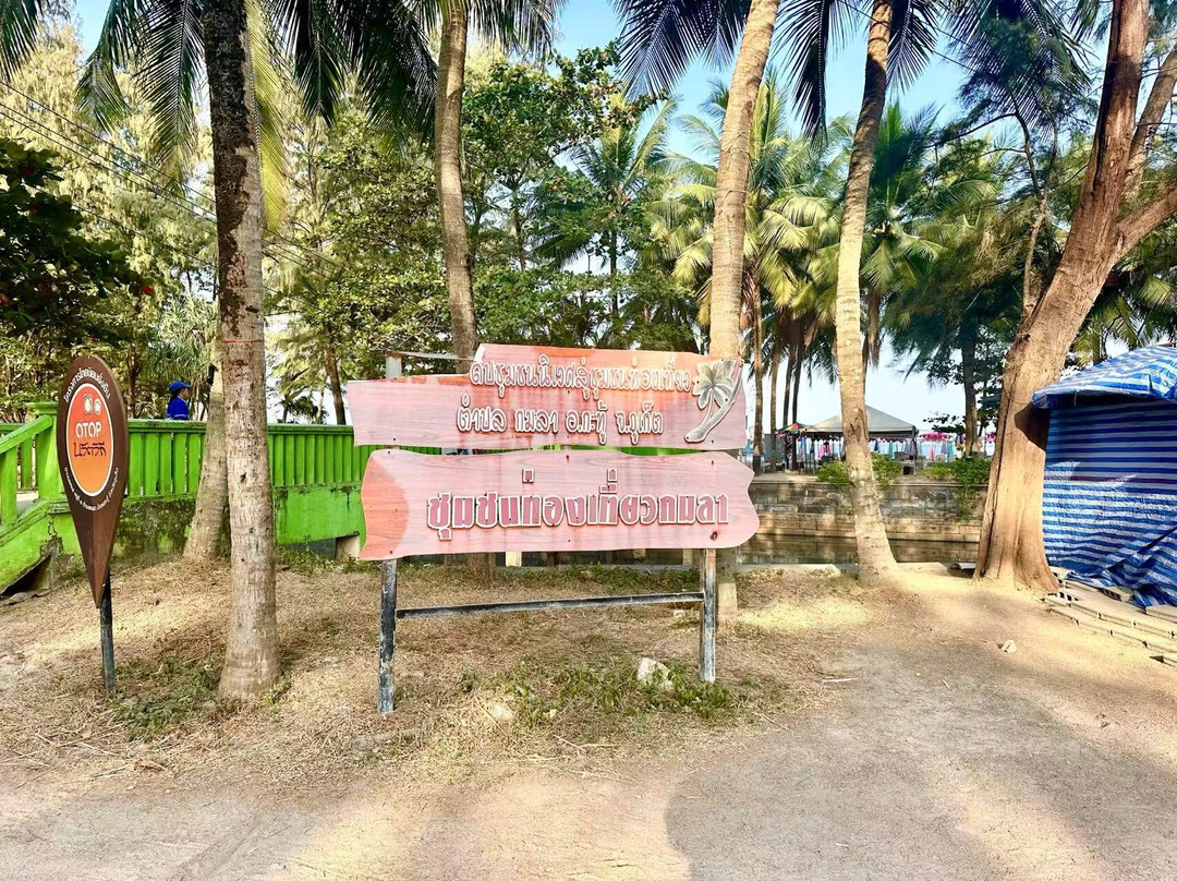 Tsunami Memorial Park-卡马拉必去景点