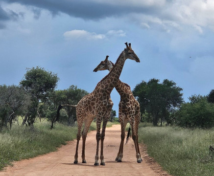 Mabalingwe Nature Reserve-贝拉贝拉必去景点