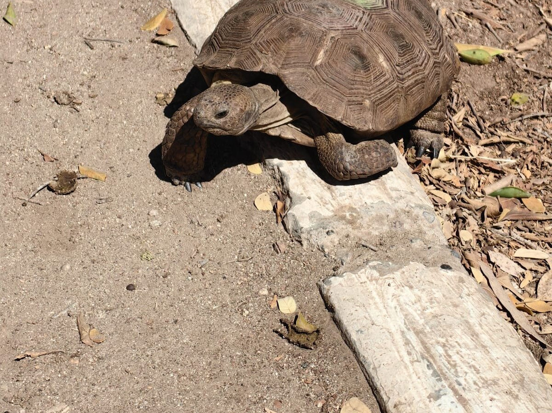 Hotel Santa Anita主图