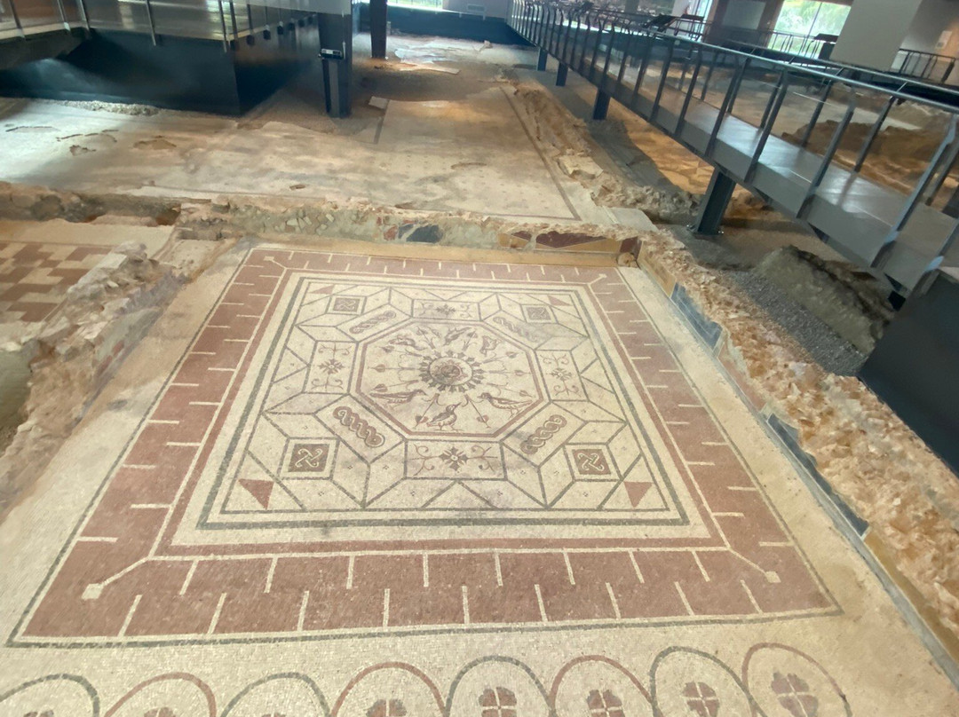 Villa dei Mosaici景点图片