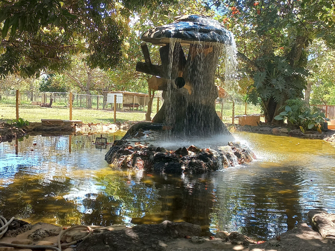 Jardim Japonês-Caldas Novas必去景点
