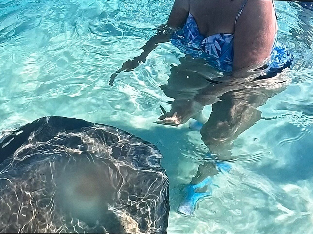 Stingray Sailing-大开曼岛必去景点