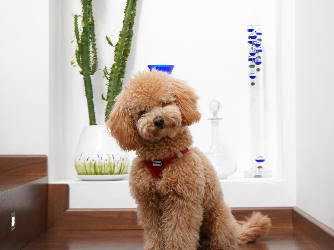 Mardenit Hotel Boutique主图