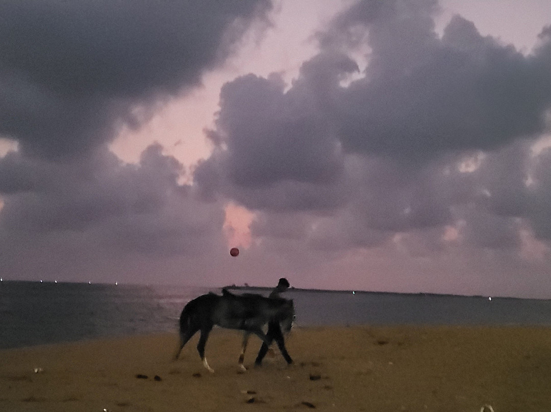Kollam Beach景点图片