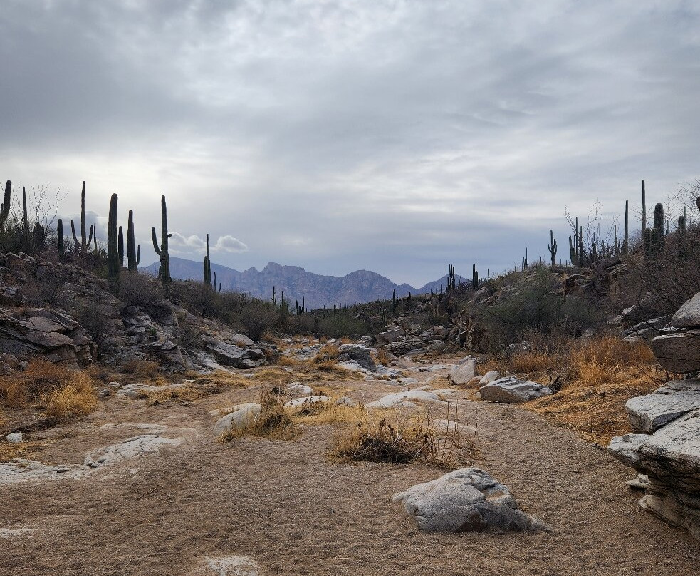 Honeybee Canyon Park-Oro Valley必去景点