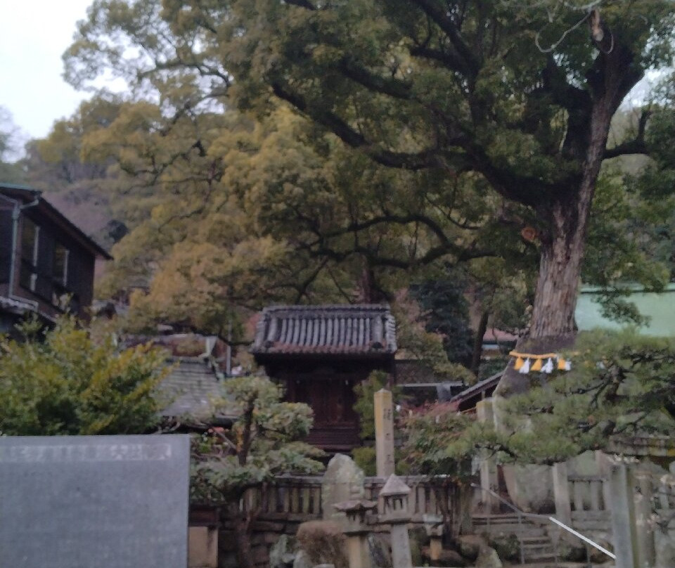 Ushitora Shrine-尾道市必去景点