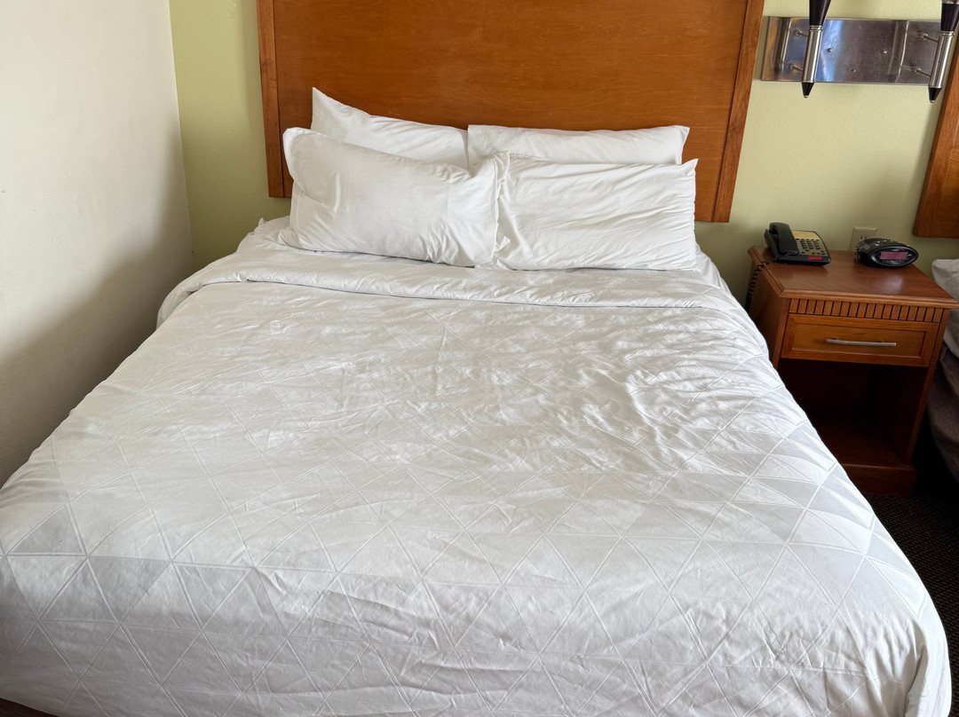 新伊比利亚烛木套房酒店主图