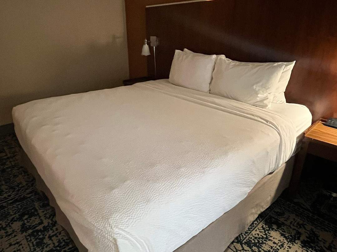 Four Points by Sheraton Pleasanton主图