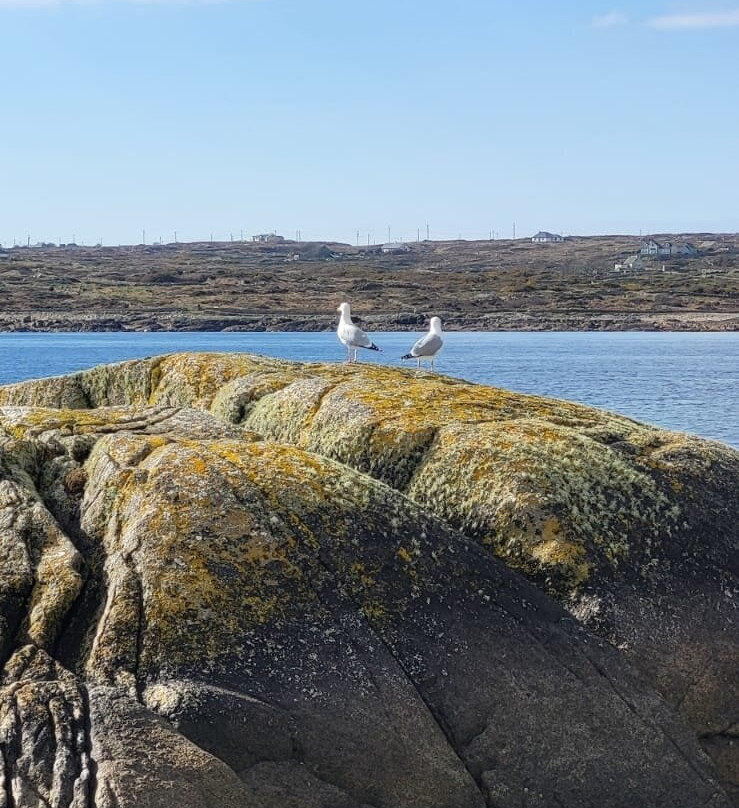 Coral Strand (Trá an Dóilín)-Carraroe必去景点