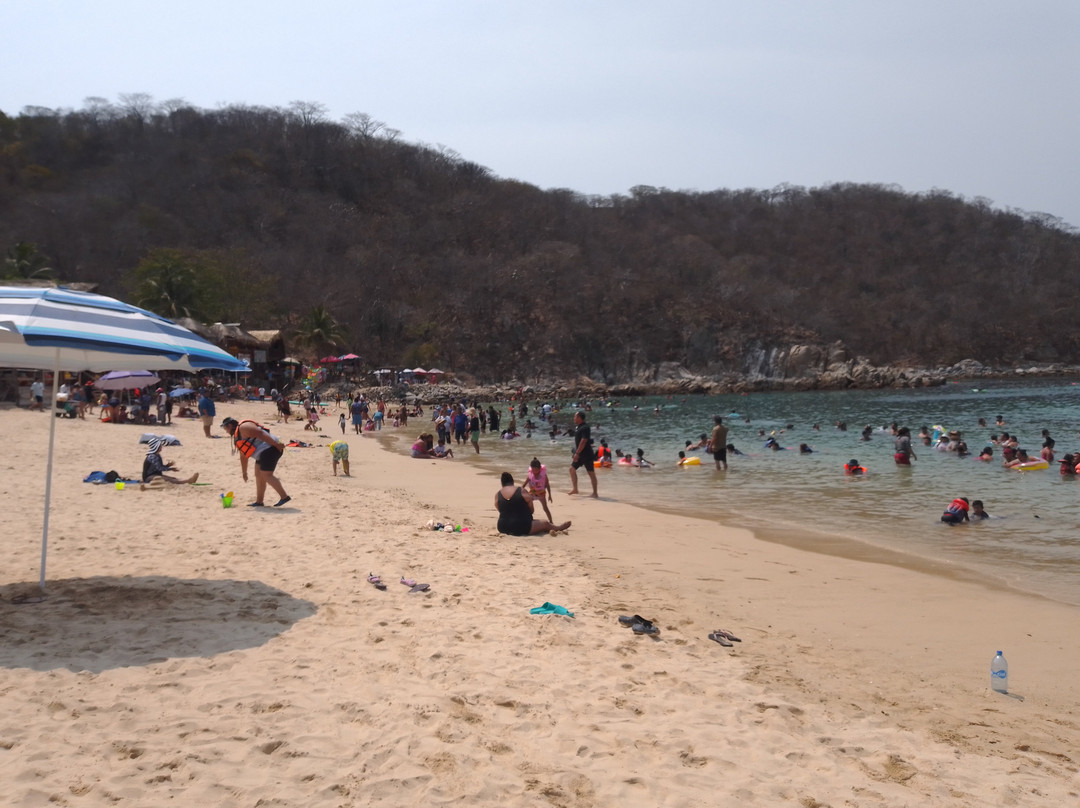 Playa La Entrega景点图片