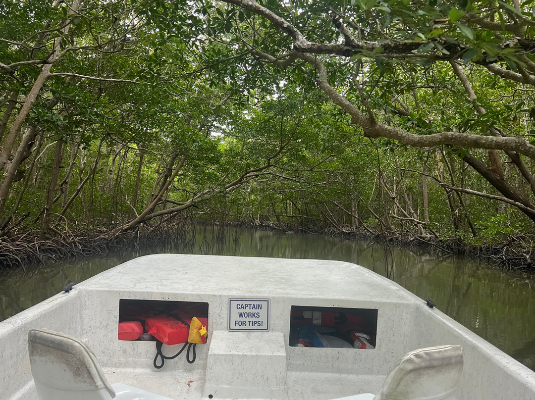Tour The Glades - Private Wildlife Tours-大沼泽地必去景点
