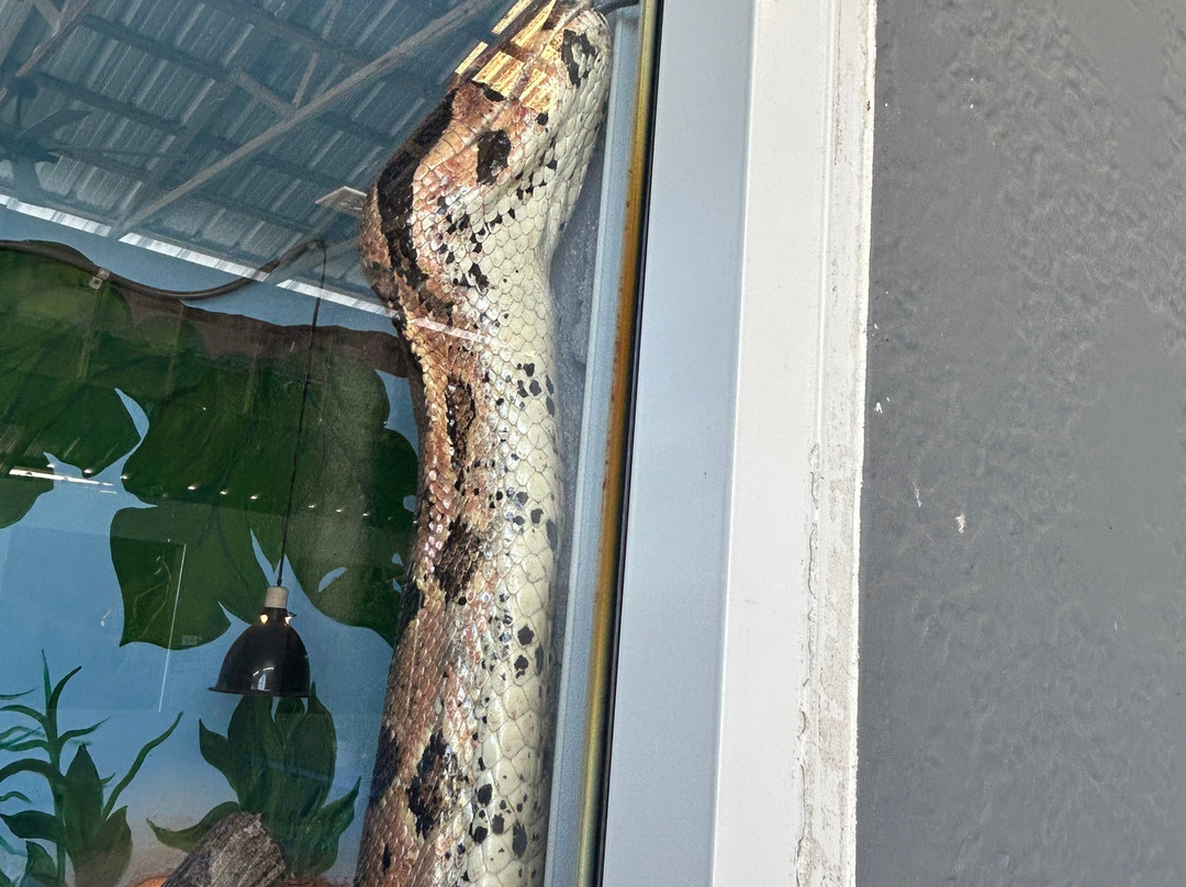 Iguanaland-蓬塔戈尔达必去景点