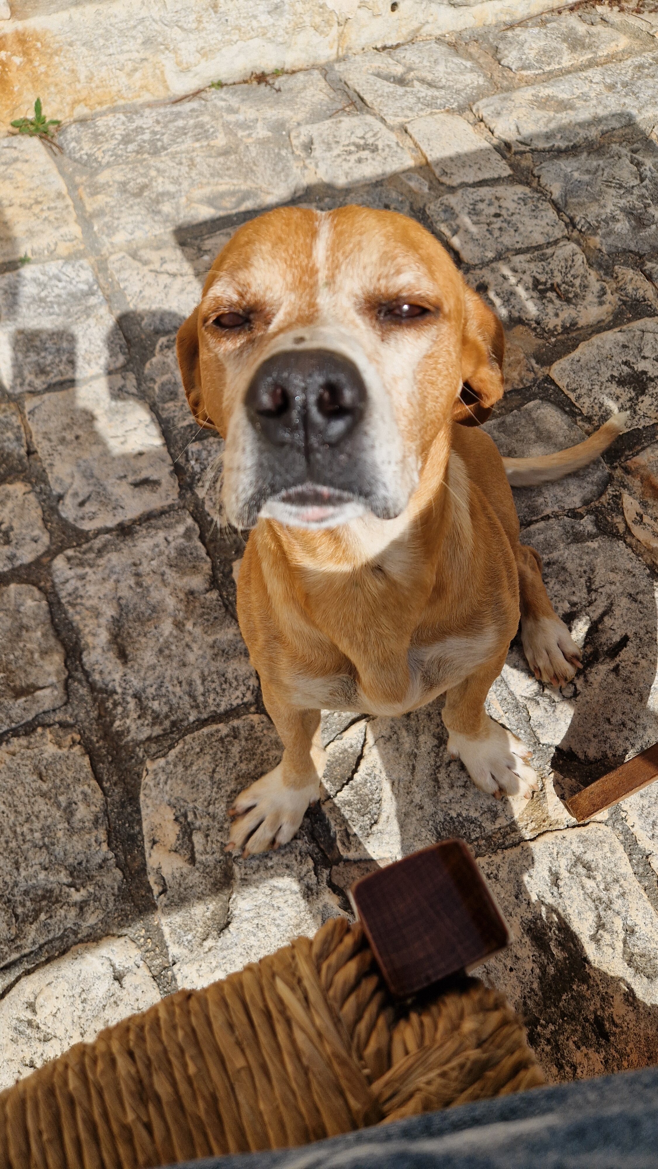 Masseria Quartarella-官方