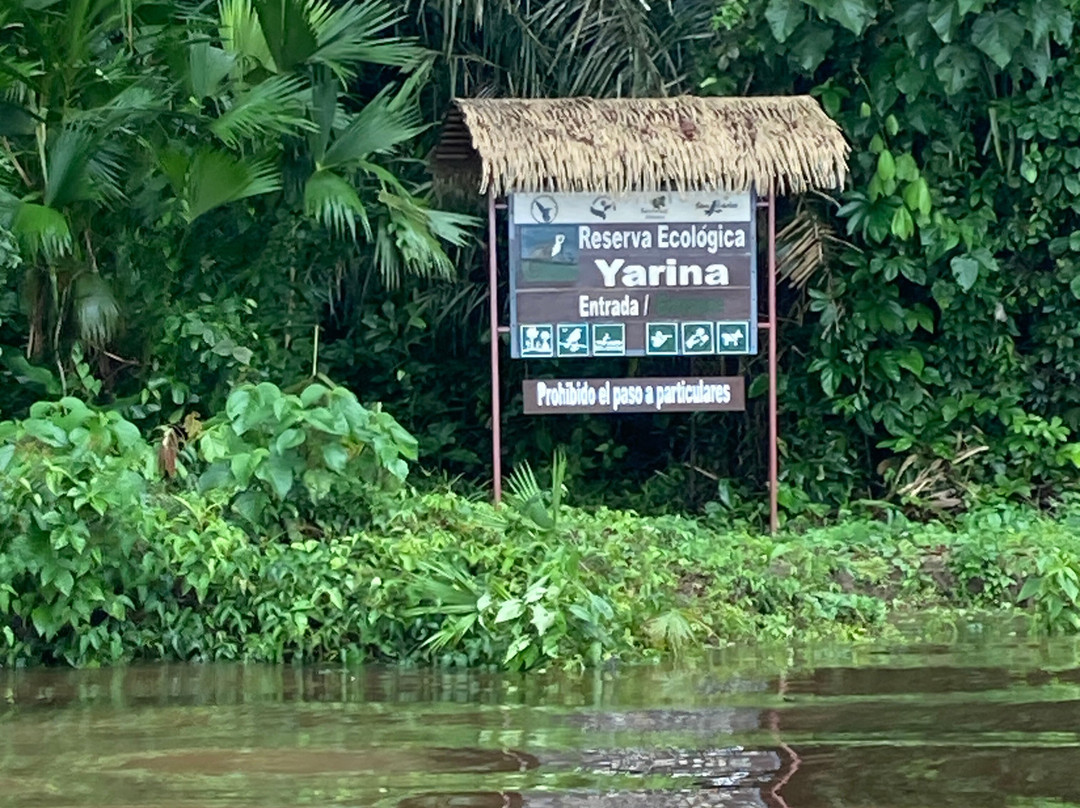 Yarina Eco Lodge主图