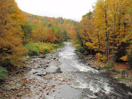 Sampler House Bed and Breakfast主图