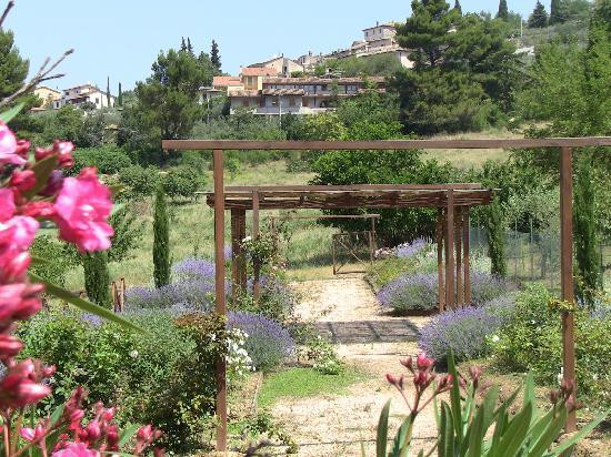 卡萨朱利亚乡村酒店主图