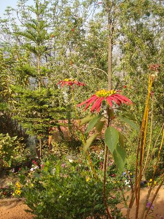 杜利克尔山渡假酒店主图