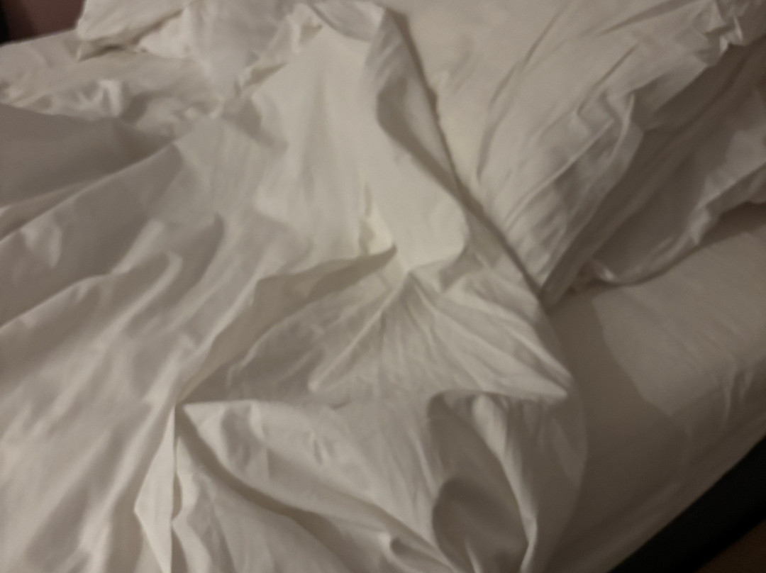 Chogogo Dive & Beach Resort Bonaire主图