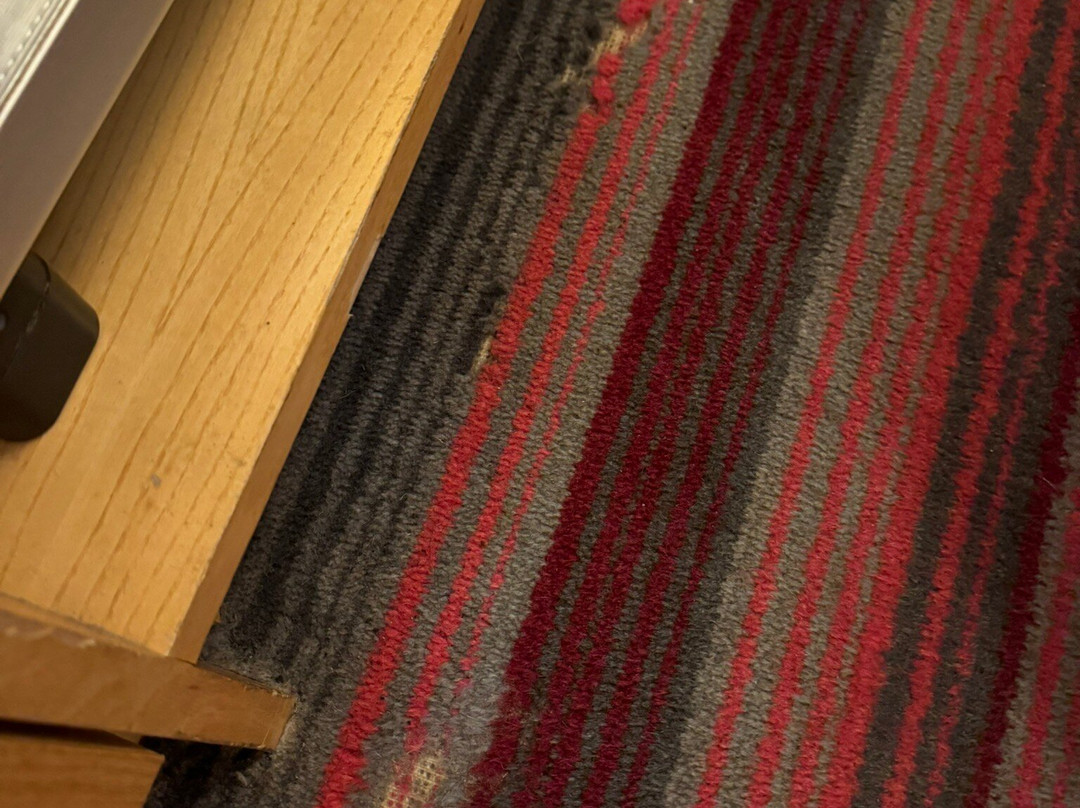 杰斯蒙纽卡斯尔假日酒店主图