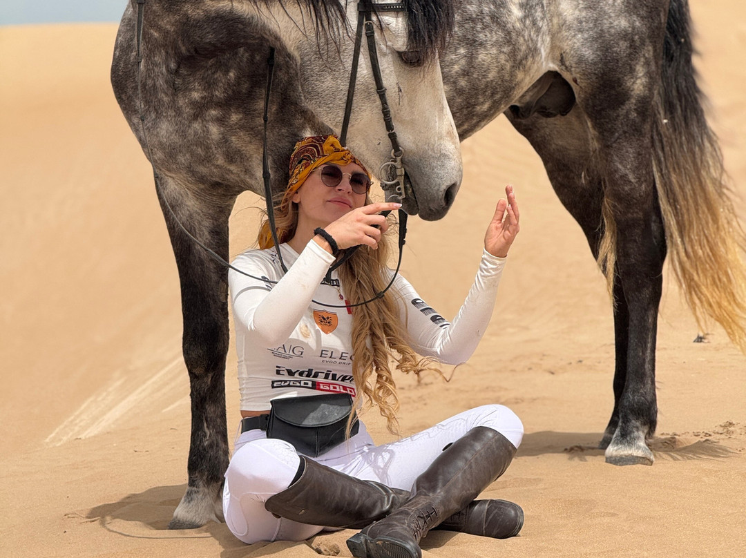 Ocean Ranch Essaouira-索维拉必去景点