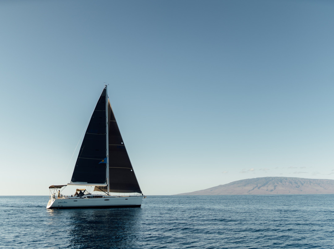 Salty Dog Sailing Maui