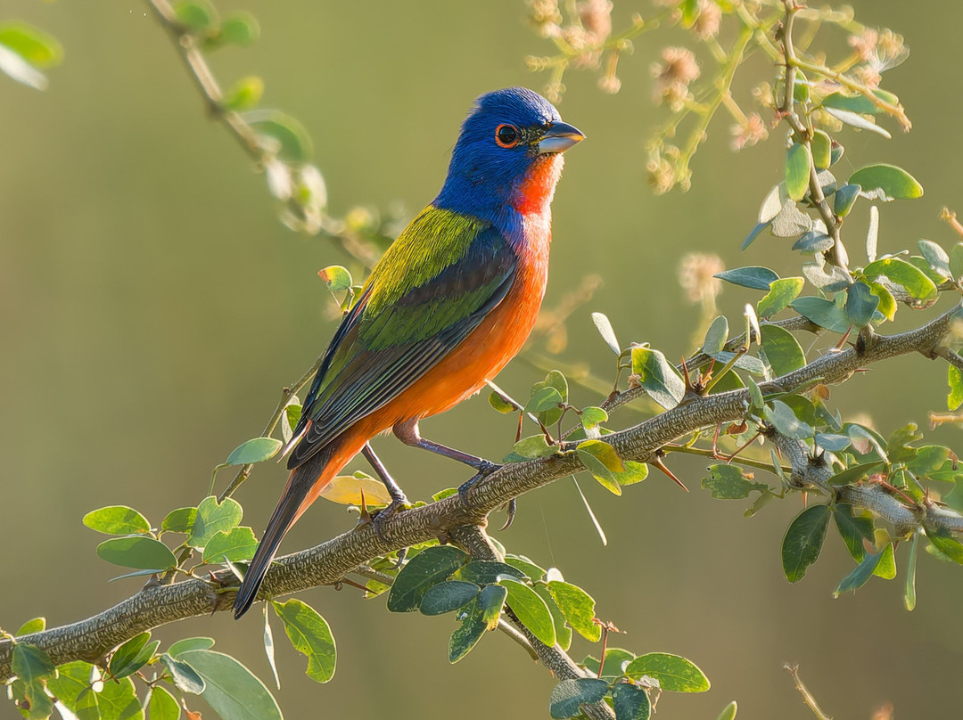 Travelian Tours-圣米格尔护城必去景点