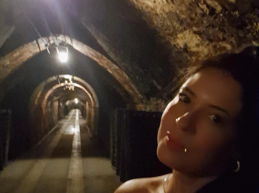 Caves Anna d’ Codorniu-桑特萨杜尔尼达诺亚必去景点